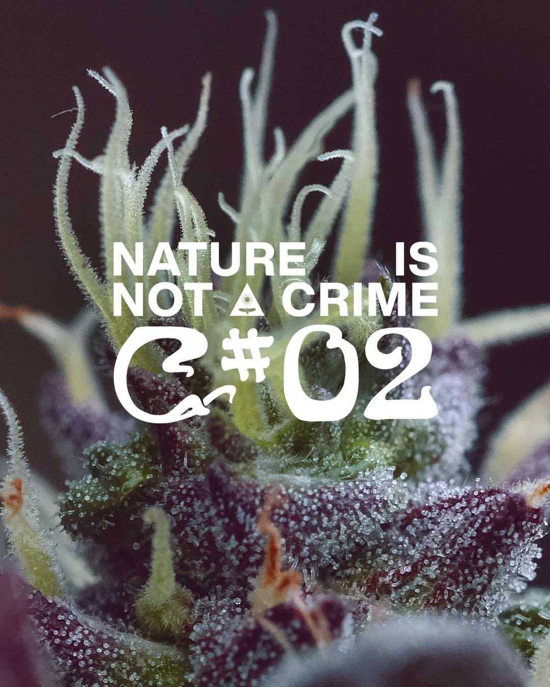 COMPLETE COLLECTION DOWNLOAD - 23 FULL RES IMAGES